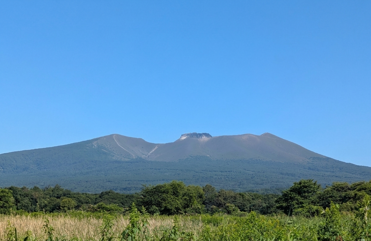 写真：自然のイメージ